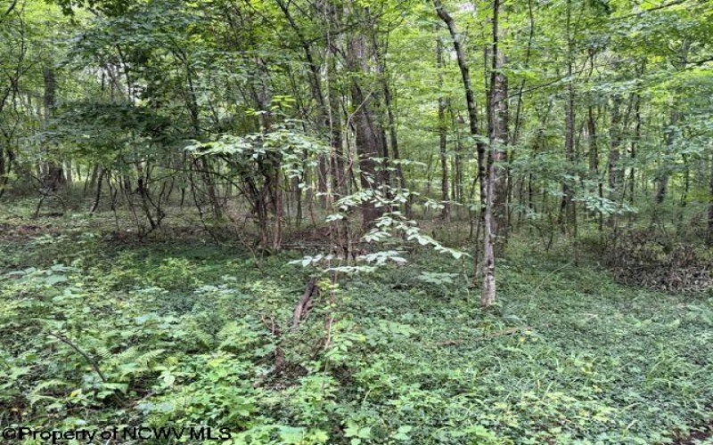 59 Adobe Drive, Belington, West Virginia 26250, 3 Bedrooms Bedrooms, 5 Rooms Rooms,1 BathroomBathrooms,Single Family Detached,For Sale,Adobe,0,10166071