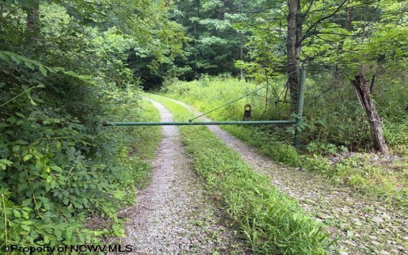 59 Adobe Drive, Belington, West Virginia 26250, 3 Bedrooms Bedrooms, 5 Rooms Rooms,1 BathroomBathrooms,Single Family Detached,For Sale,Adobe,0,10166071