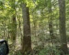 110 Danner Road, Belington, West Virginia 26250, 0 , 0 ,0,Lots/land,For Sale,Danner,0,10166098