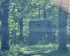 110 Danner Road, Belington, West Virginia 26250, 0 , 0 ,0,Lots/land,For Sale,Danner,0,10166098