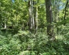 110 Danner Road, Belington, West Virginia 26250, 0 , 0 ,0,Lots/land,For Sale,Danner,0,10166098