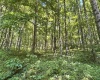 110 Danner Road, Belington, West Virginia 26250, 0 , 0 ,0,Lots/land,For Sale,Danner,0,10166098