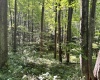 110 Danner Road, Belington, West Virginia 26250, 0 , 0 ,0,Lots/land,For Sale,Danner,0,10166098