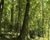110 Danner Road, Belington, West Virginia 26250, 0 , 0 ,0,Lots/land,For Sale,Danner,0,10166098
