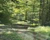 110 Danner Road, Belington, West Virginia 26250, 0 , 0 ,0,Lots/land,For Sale,Danner,0,10166098