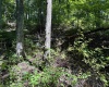 110 Danner Road, Belington, West Virginia 26250, 0 , 0 ,0,Lots/land,For Sale,Danner,0,10166098