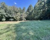 110 Danner Road, Belington, West Virginia 26250, 0 , 0 ,0,Lots/land,For Sale,Danner,0,10166098
