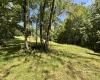 110 Danner Road, Belington, West Virginia 26250, 0 , 0 ,0,Lots/land,For Sale,Danner,0,10166098