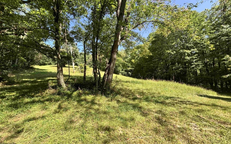 110 Danner Road, Belington, West Virginia 26250, 0 , 0 ,0,Lots/land,For Sale,Danner,0,10166098
