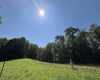 110 Danner Road, Belington, West Virginia 26250, 0 , 0 ,0,Lots/land,For Sale,Danner,0,10166098