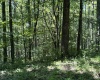 110 Danner Road, Belington, West Virginia 26250, 0 , 0 ,0,Lots/land,For Sale,Danner,0,10166098