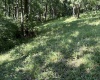 110 Danner Road, Belington, West Virginia 26250, 0 , 0 ,0,Lots/land,For Sale,Danner,0,10166098