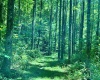 110 Danner Road, Belington, West Virginia 26250, 0 , 0 ,0,Lots/land,For Sale,Danner,0,10166098