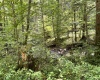 469 Karlan Road, Pickens, West Virginia 26230, 0 , 0 ,0,Lots/land,For Sale,Karlan,0,10166097