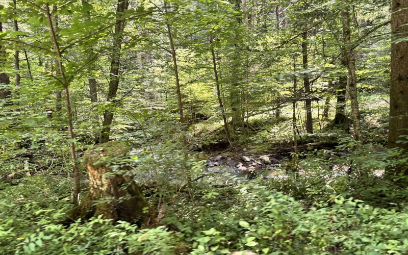 469 Karlan Road, Pickens, West Virginia 26230, 0 , 0 ,0,Lots/land,For Sale,Karlan,0,10166097