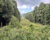 469 Karlan Road, Pickens, West Virginia 26230, 0 , 0 ,0,Lots/land,For Sale,Karlan,0,10166097