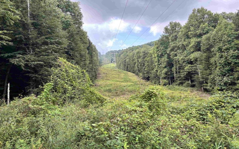 469 Karlan Road, Pickens, West Virginia 26230, 0 , 0 ,0,Lots/land,For Sale,Karlan,0,10166097