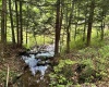469 Karlan Road, Pickens, West Virginia 26230, 0 , 0 ,0,Lots/land,For Sale,Karlan,0,10166097