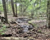 469 Karlan Road, Pickens, West Virginia 26230, 0 , 0 ,0,Lots/land,For Sale,Karlan,0,10166097