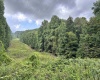 469 Karlan Road, Pickens, West Virginia 26230, 0 , 0 ,0,Lots/land,For Sale,Karlan,0,10166097