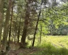 469 Karlan Road, Pickens, West Virginia 26230, 0 , 0 ,0,Lots/land,For Sale,Karlan,0,10166097