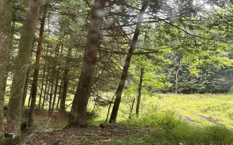 469 Karlan Road, Pickens, West Virginia 26230, 0 , 0 ,0,Lots/land,For Sale,Karlan,0,10166097