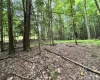 469 Karlan Road, Pickens, West Virginia 26230, 0 , 0 ,0,Lots/land,For Sale,Karlan,0,10166097
