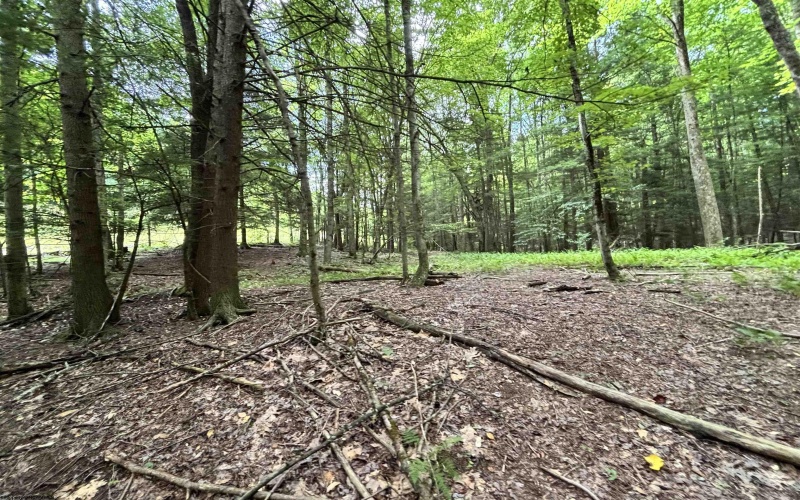 469 Karlan Road, Pickens, West Virginia 26230, 0 , 0 ,0,Lots/land,For Sale,Karlan,0,10166097