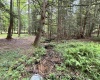 469 Karlan Road, Pickens, West Virginia 26230, 0 , 0 ,0,Lots/land,For Sale,Karlan,0,10166097