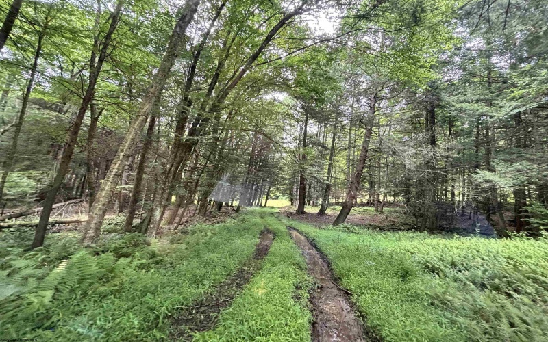 469 Karlan Road, Pickens, West Virginia 26230, 0 , 0 ,0,Lots/land,For Sale,Karlan,0,10166097