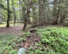 469 Karlan Road, Pickens, West Virginia 26230, 0 , 0 ,0,Lots/land,For Sale,Karlan,0,10166097