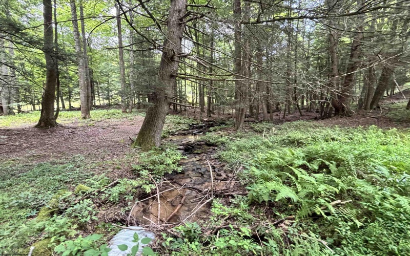 469 Karlan Road, Pickens, West Virginia 26230, 0 , 0 ,0,Lots/land,For Sale,Karlan,0,10166097