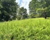 469 Karlan Road, Pickens, West Virginia 26230, 0 , 0 ,0,Lots/land,For Sale,Karlan,0,10166097