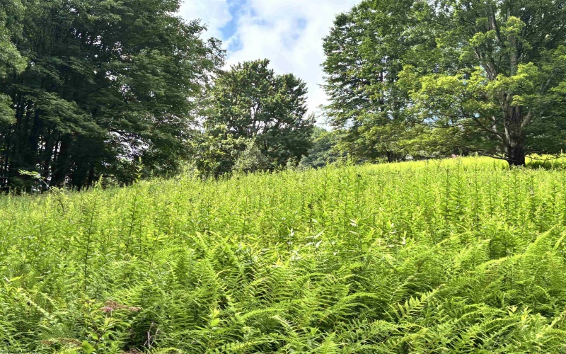 469 Karlan Road, Pickens, West Virginia 26230, 0 , 0 ,0,Lots/land,For Sale,Karlan,0,10166097