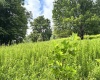 469 Karlan Road, Pickens, West Virginia 26230, 0 , 0 ,0,Lots/land,For Sale,Karlan,0,10166097