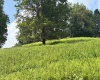 469 Karlan Road, Pickens, West Virginia 26230, 0 , 0 ,0,Lots/land,For Sale,Karlan,0,10166097