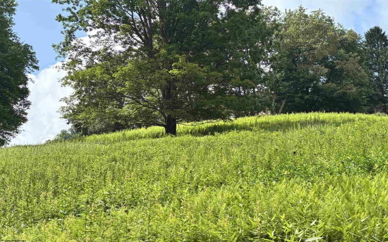 469 Karlan Road, Pickens, West Virginia 26230, 0 , 0 ,0,Lots/land,For Sale,Karlan,0,10166097