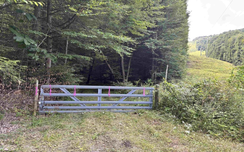 469 Karlan Road, Pickens, West Virginia 26230, 0 , 0 ,0,Lots/land,For Sale,Karlan,0,10166097