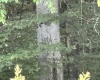 469 Karlan Road, Pickens, West Virginia 26230, 0 , 0 ,0,Lots/land,For Sale,Karlan,0,10166097