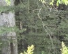 469 Karlan Road, Pickens, West Virginia 26230, 0 , 0 ,0,Lots/land,For Sale,Karlan,0,10166097
