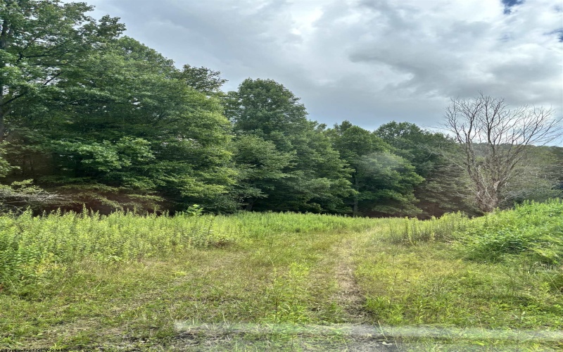 469 Karlan Road, Pickens, West Virginia 26230, 0 , 0 ,0,Lots/land,For Sale,Karlan,0,10166097