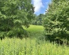469 Karlan Road, Pickens, West Virginia 26230, 0 , 0 ,0,Lots/land,For Sale,Karlan,0,10166097