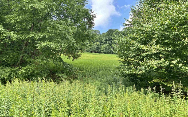 469 Karlan Road, Pickens, West Virginia 26230, 0 , 0 ,0,Lots/land,For Sale,Karlan,0,10166097