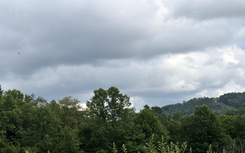 469 Karlan Road, Pickens, West Virginia 26230, 0 , 0 ,0,Lots/land,For Sale,Karlan,0,10166097
