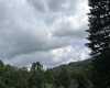 469 Karlan Road, Pickens, West Virginia 26230, 0 , 0 ,0,Lots/land,For Sale,Karlan,0,10166097