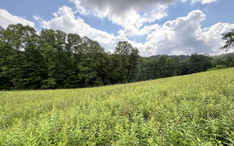 469 Karlan Road, Pickens, West Virginia 26230, 0 , 0 ,0,Lots/land,For Sale,Karlan,0,10166097