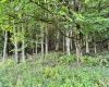 469 Karlan Road, Pickens, West Virginia 26230, 0 , 0 ,0,Lots/land,For Sale,Karlan,0,10166097