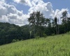 469 Karlan Road, Pickens, West Virginia 26230, 0 , 0 ,0,Lots/land,For Sale,Karlan,0,10166097