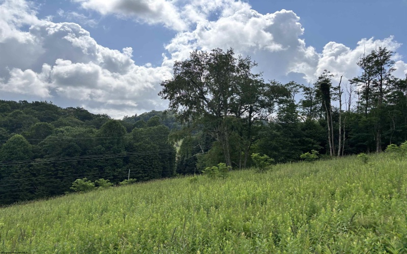 469 Karlan Road, Pickens, West Virginia 26230, 0 , 0 ,0,Lots/land,For Sale,Karlan,0,10166097