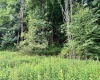 469 Karlan Road, Pickens, West Virginia 26230, 0 , 0 ,0,Lots/land,For Sale,Karlan,0,10166097